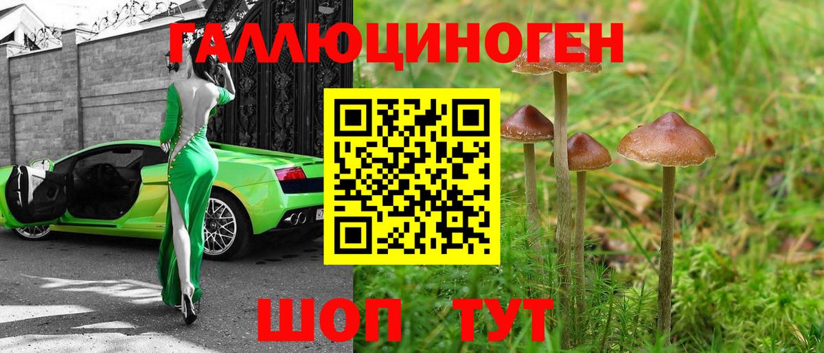 Галлюциногенные грибы Magic Shrooms  Галлюциногенные грибы прущие грибы  Вход с VPN  Новочебоксарск 