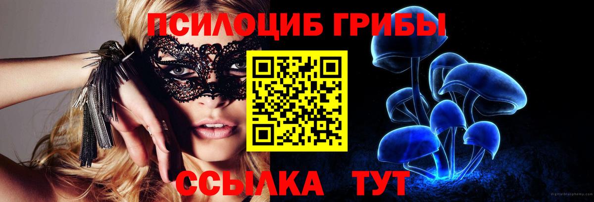Галлюциногенные грибы Magic Shrooms Новочебоксарск